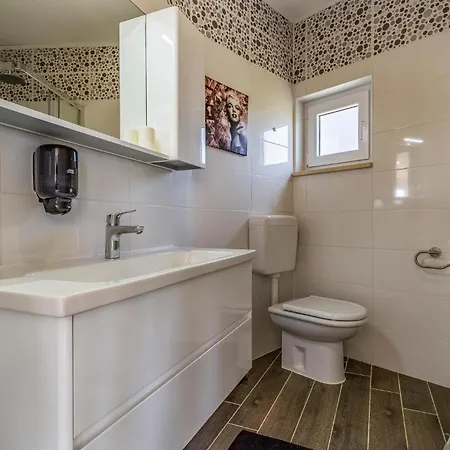 Lovely In With Kitchen Vakantiehuis Rovinj